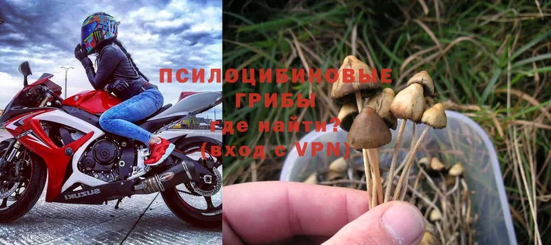 Галлюциногенные грибы Magic Shrooms  Верхняя Тура 